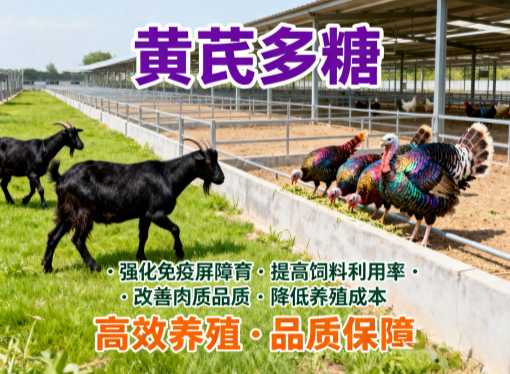 猪感冒、打喷嚏，黄芪多糖能不能帮忙